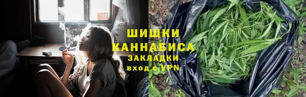 твердый Мегион